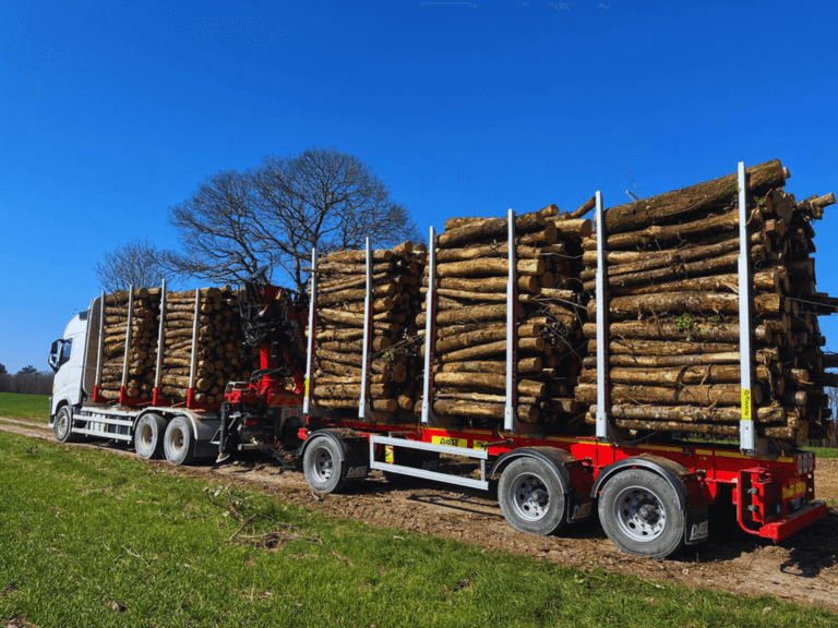 Photo du camion de la société SARL Corbin en vu de derrière. Le camion à une remorque en plus et transporte des troncs d'arbre en longueur de 2m.