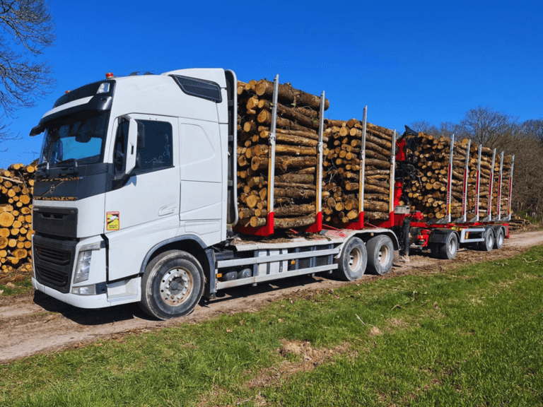 Photo du camion de la société SARL Corbin en vu profil. Le camion à une remorque en plus et transporte des troncs d'arbre en longueur de 2m.