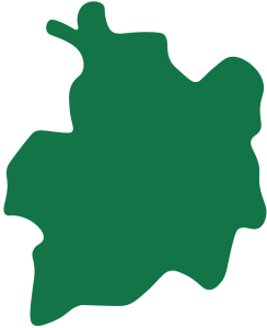 Image de la silhouette du département du 35, Ille-et-Vilaine.